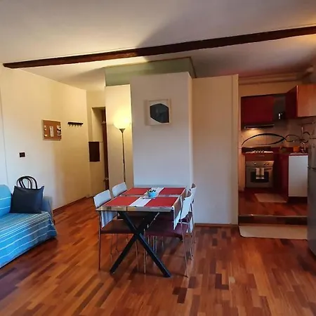 Apartment Palatina *